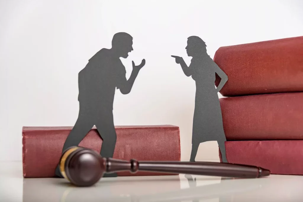 Family law proceedings